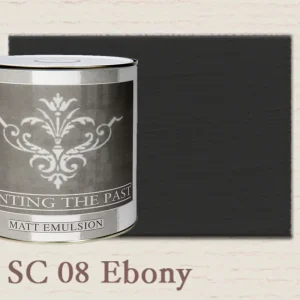 Painting The Past Matt Emulsion Ebony SC08 Uitverkoop